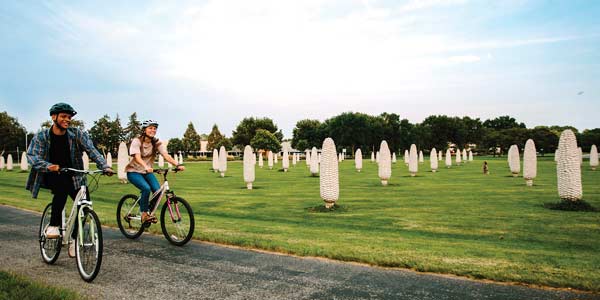 Dublin Ohio corn field